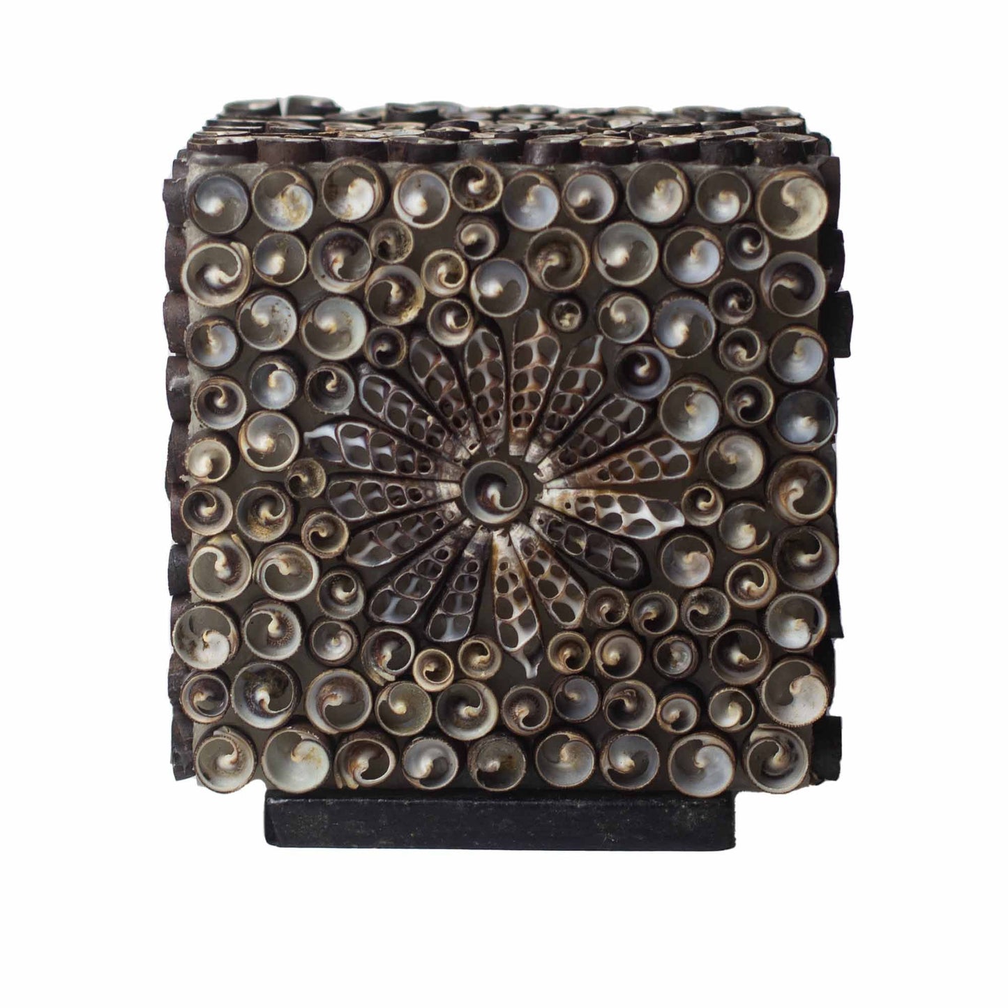 Boho Sea Shell Lamp - Chocolate Twist Square