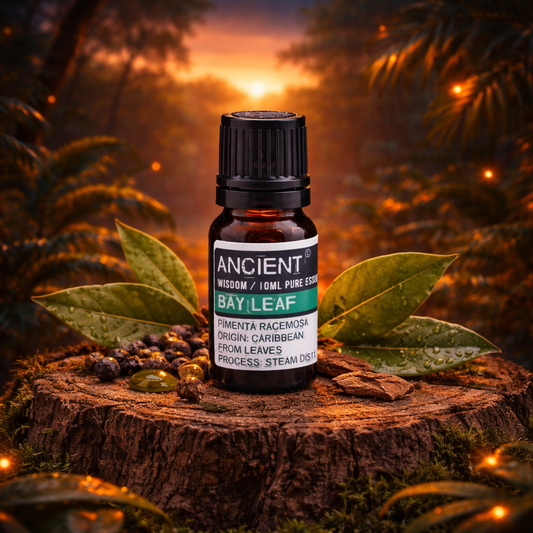 Bay Leaf Essential Oil