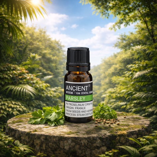 Parsley Essential Oil