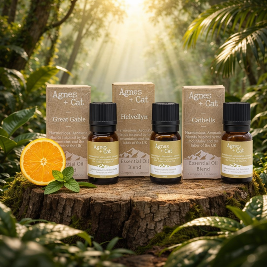 Agnes &amp; Cat – Energie-Boost-Set mit 3 ätherischen Ölmischungen