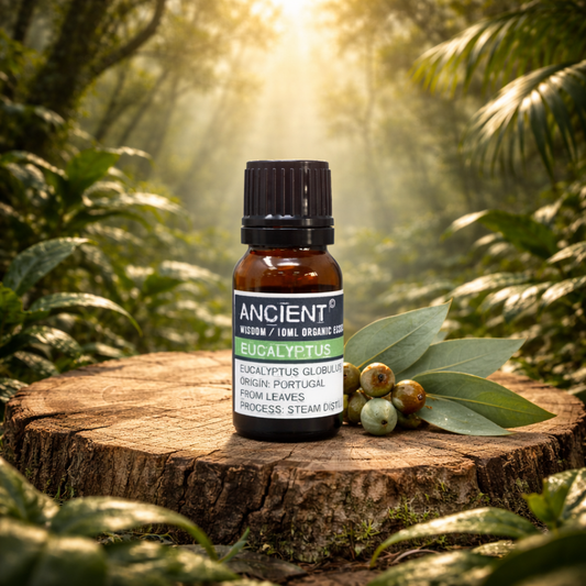 Bio-Eukalyptusöl, 10 ml