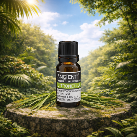 Citronella Essential Oil