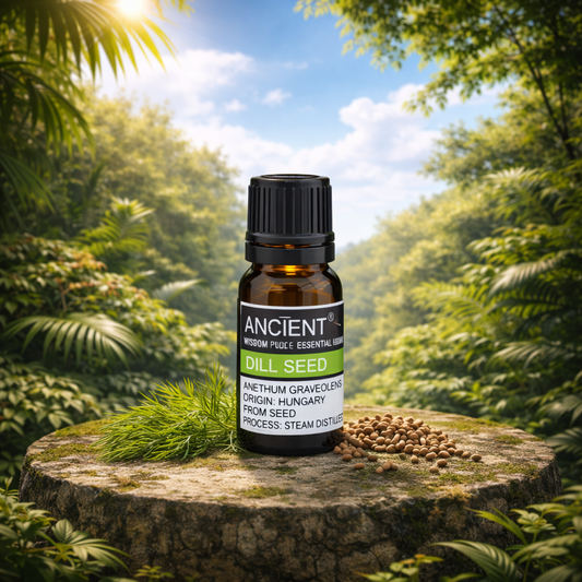 Dill Seed Essential Oil
