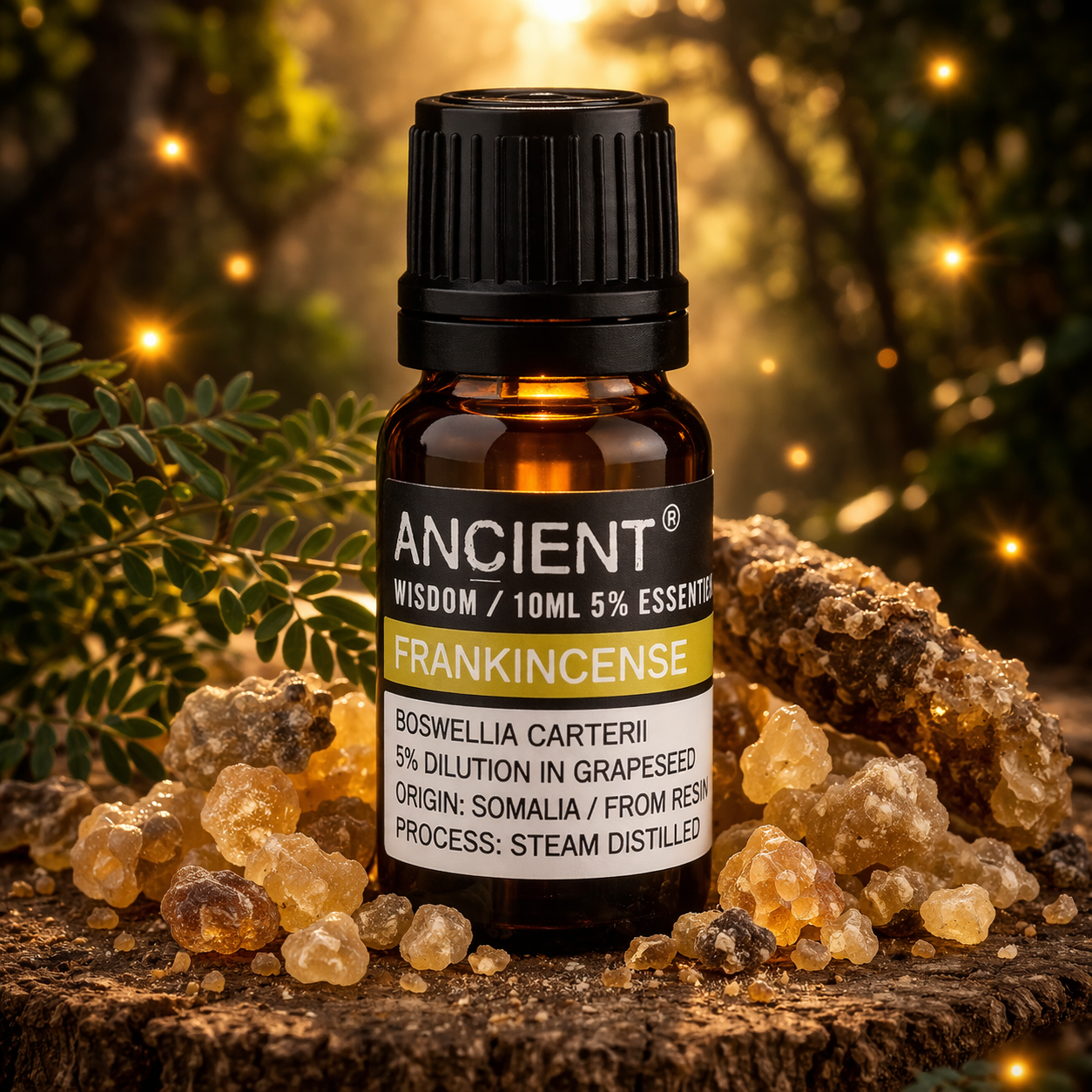 Frankincense (Dilute) Essential Oil