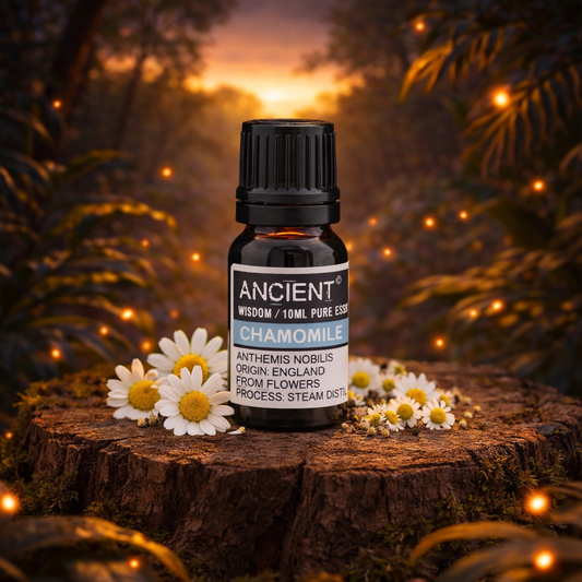 Chamomile Roman (Pure) Essential Oil