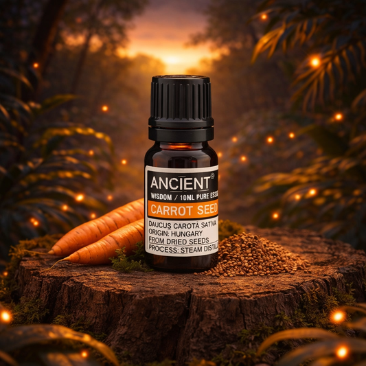 Carrot Seed Essential Oil