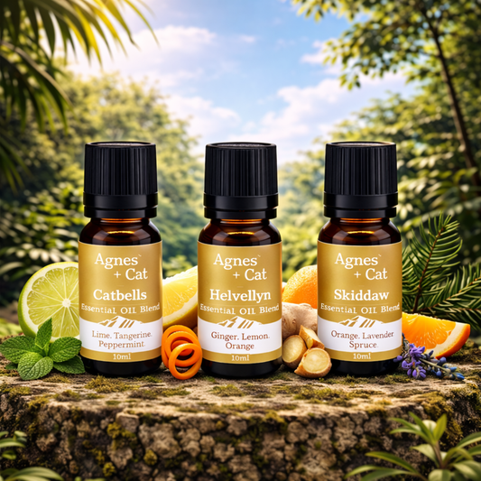 Agnes &amp; Cat – Citrus Uplift Set mit 3 ätherischen Ölmischungen
