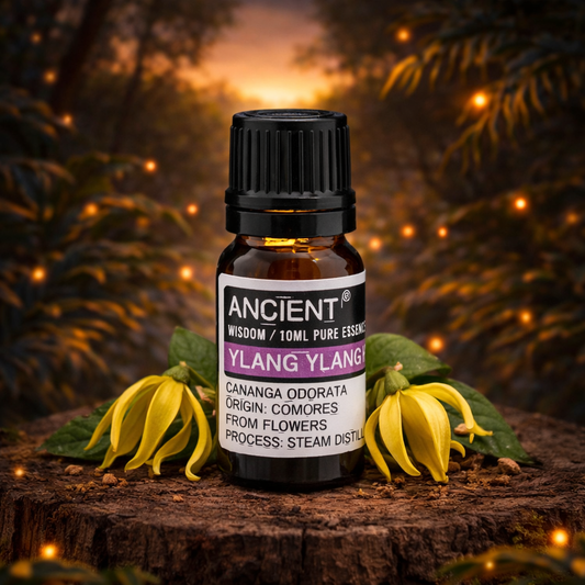 Ylang Ylang III Essential Oil