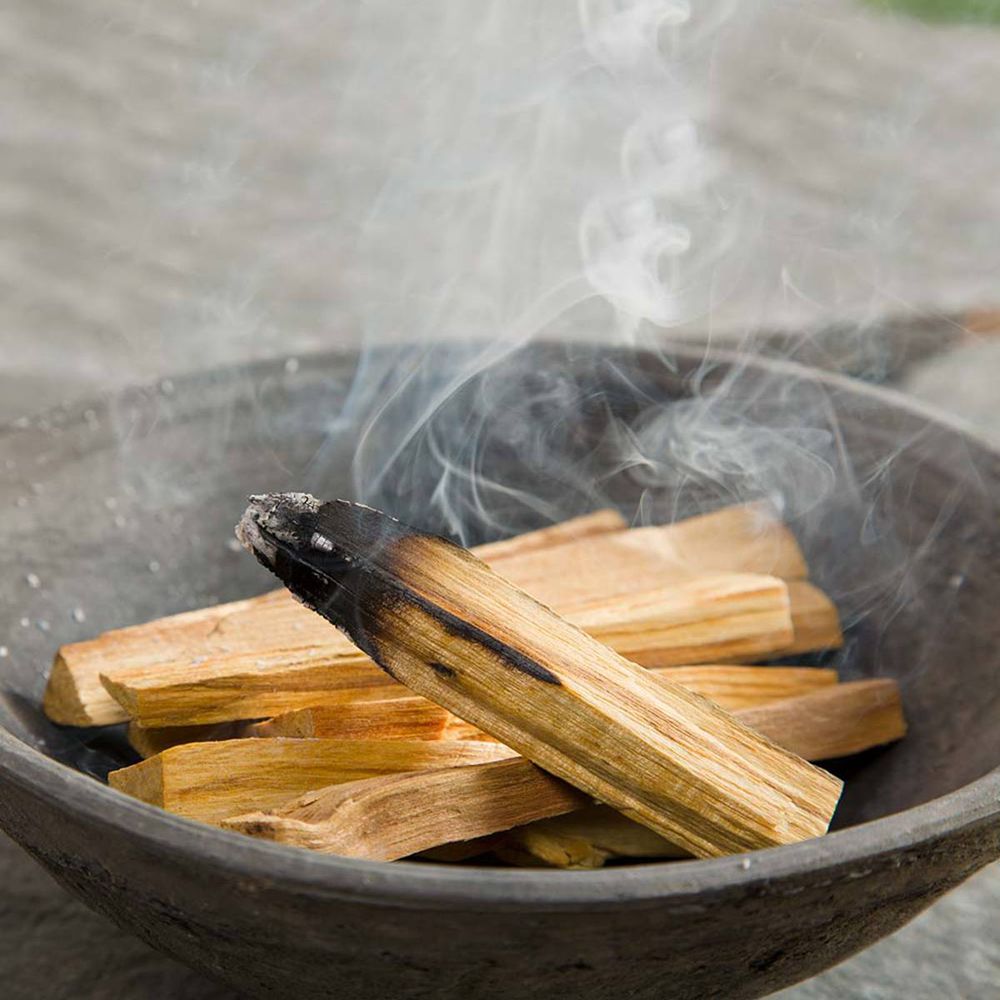 Palo Santo – Bois sacré d’Amérique du Sud | 100 g