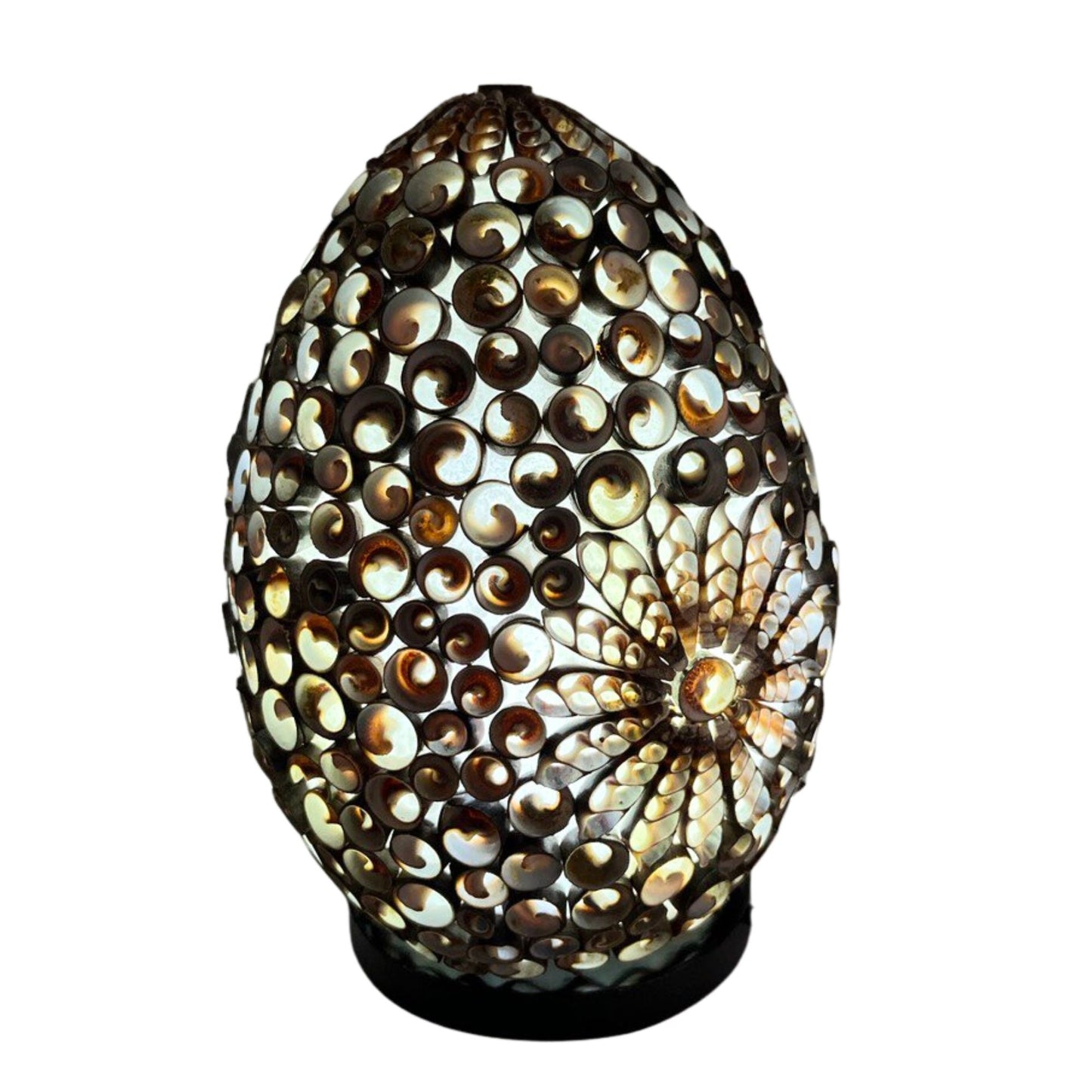 Boho Sea Shell Lamp - Chocolate Twist Oval