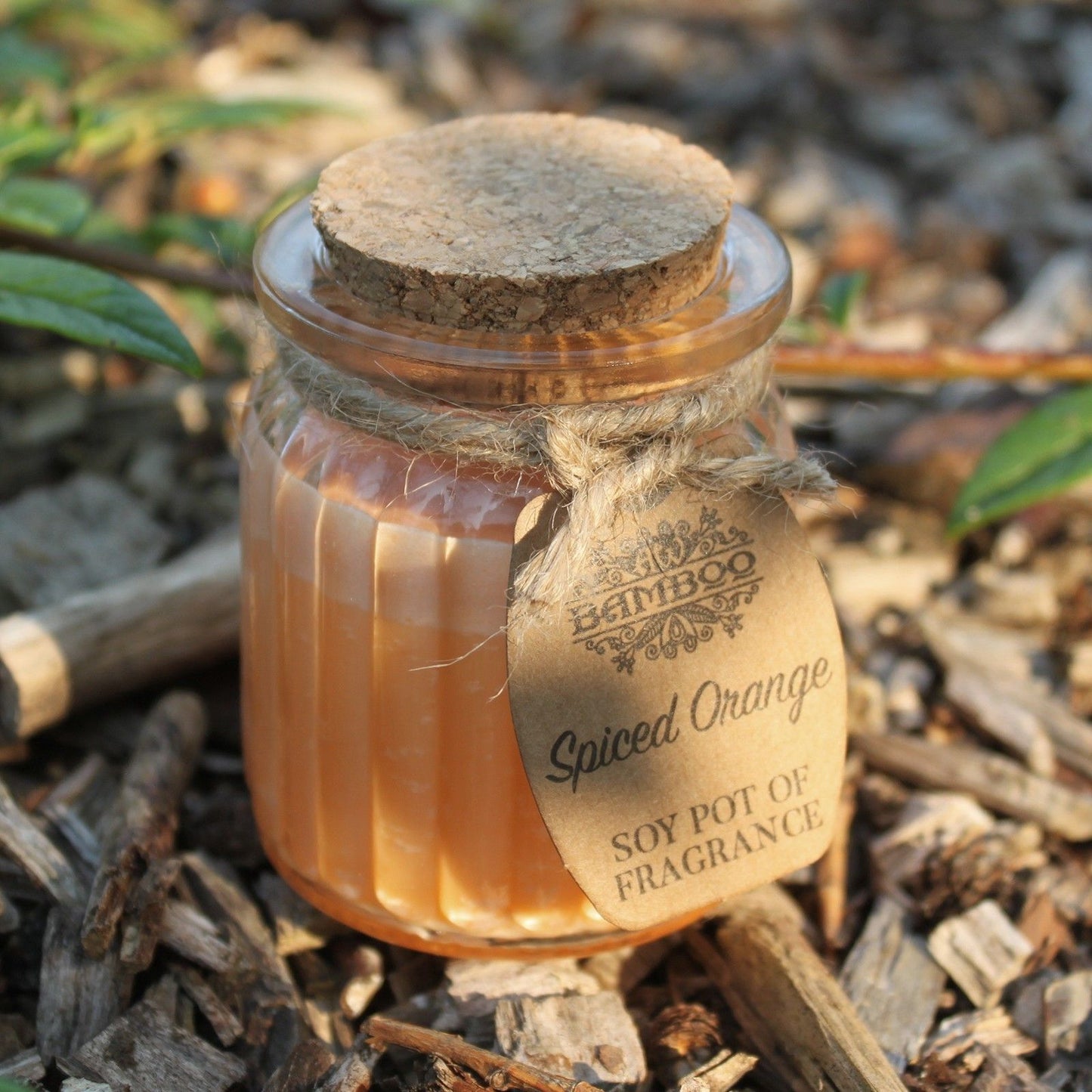 Spiced Orange Soy Pot Candle