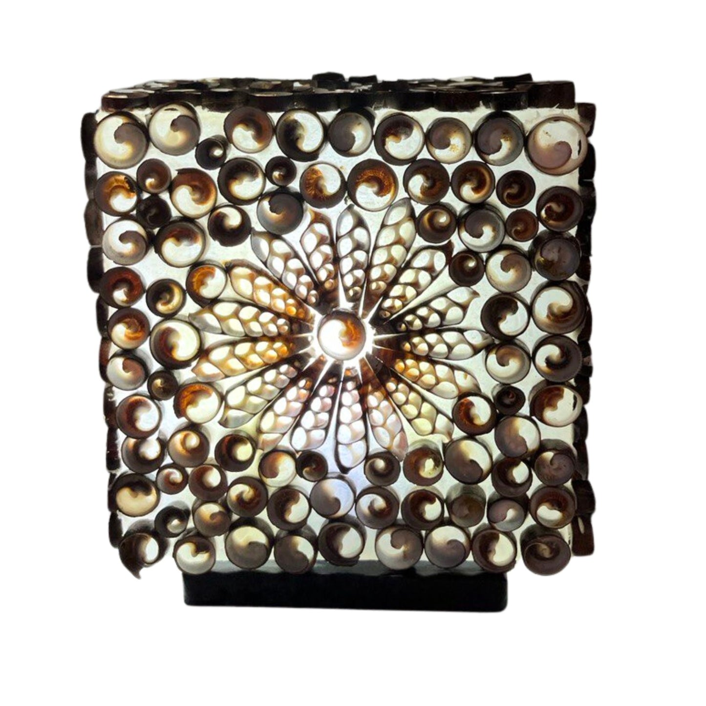 Boho Sea Shell Lamp - Chocolate Twist Square