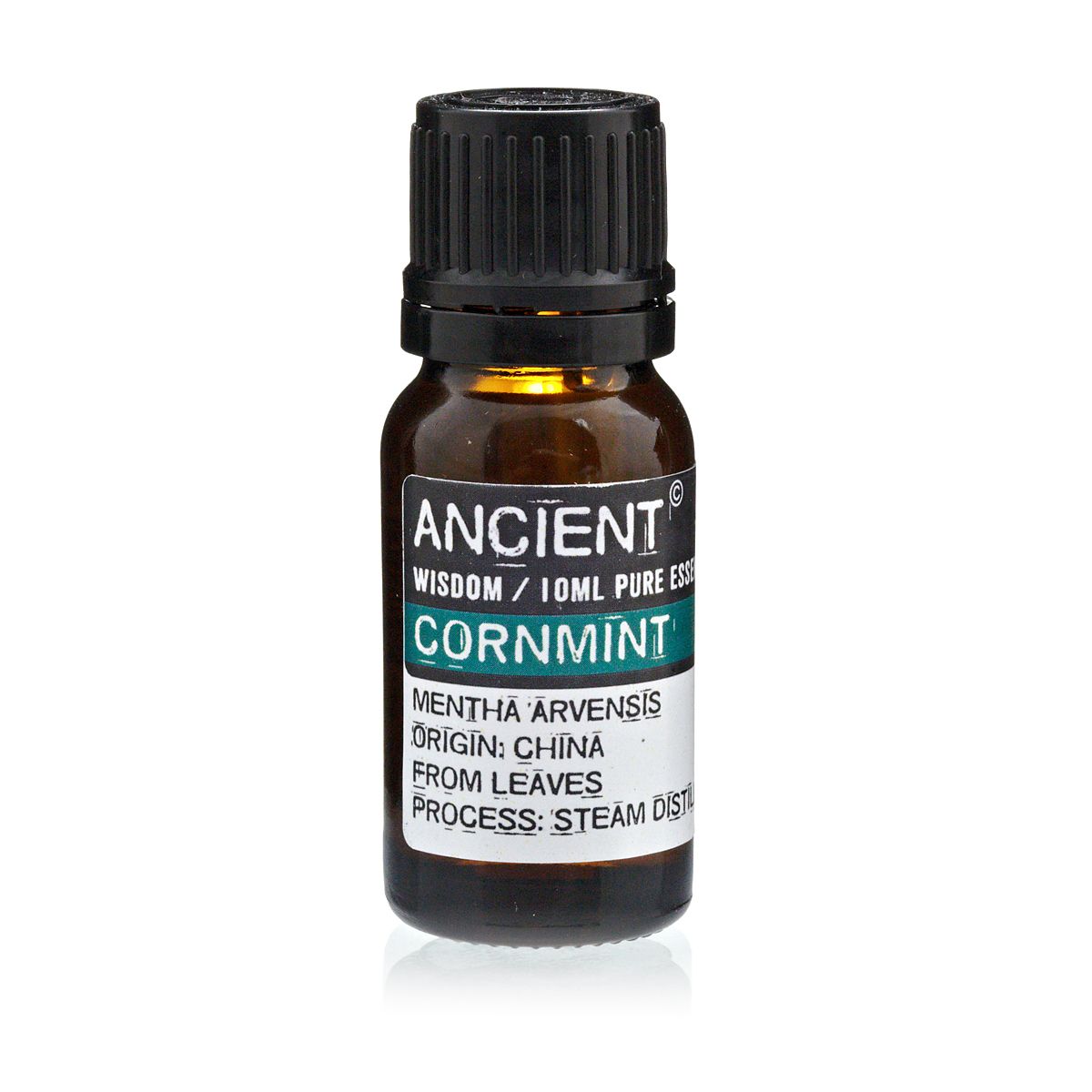 Ätherisches Öl der Ackerminze