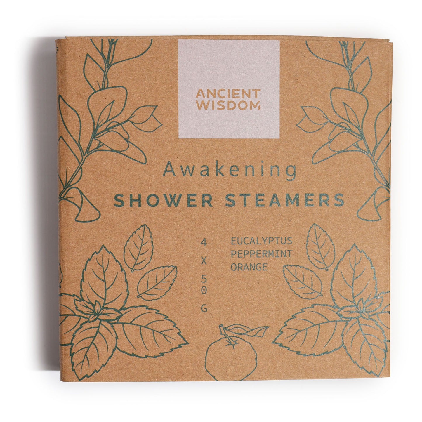 Shower Steamers – 4-Pack Citrus Herbal Aromatherapy | Refresh & Balance