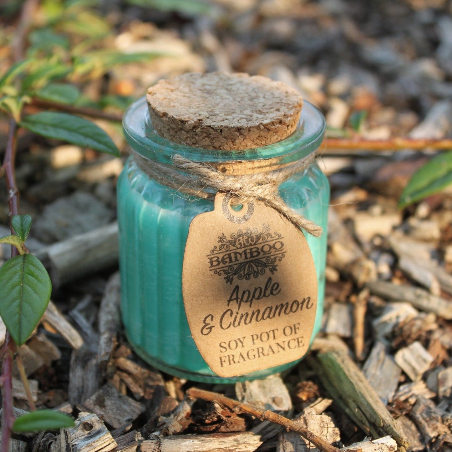Bougie soja pomme & cannelle en pot – Parfum épicé