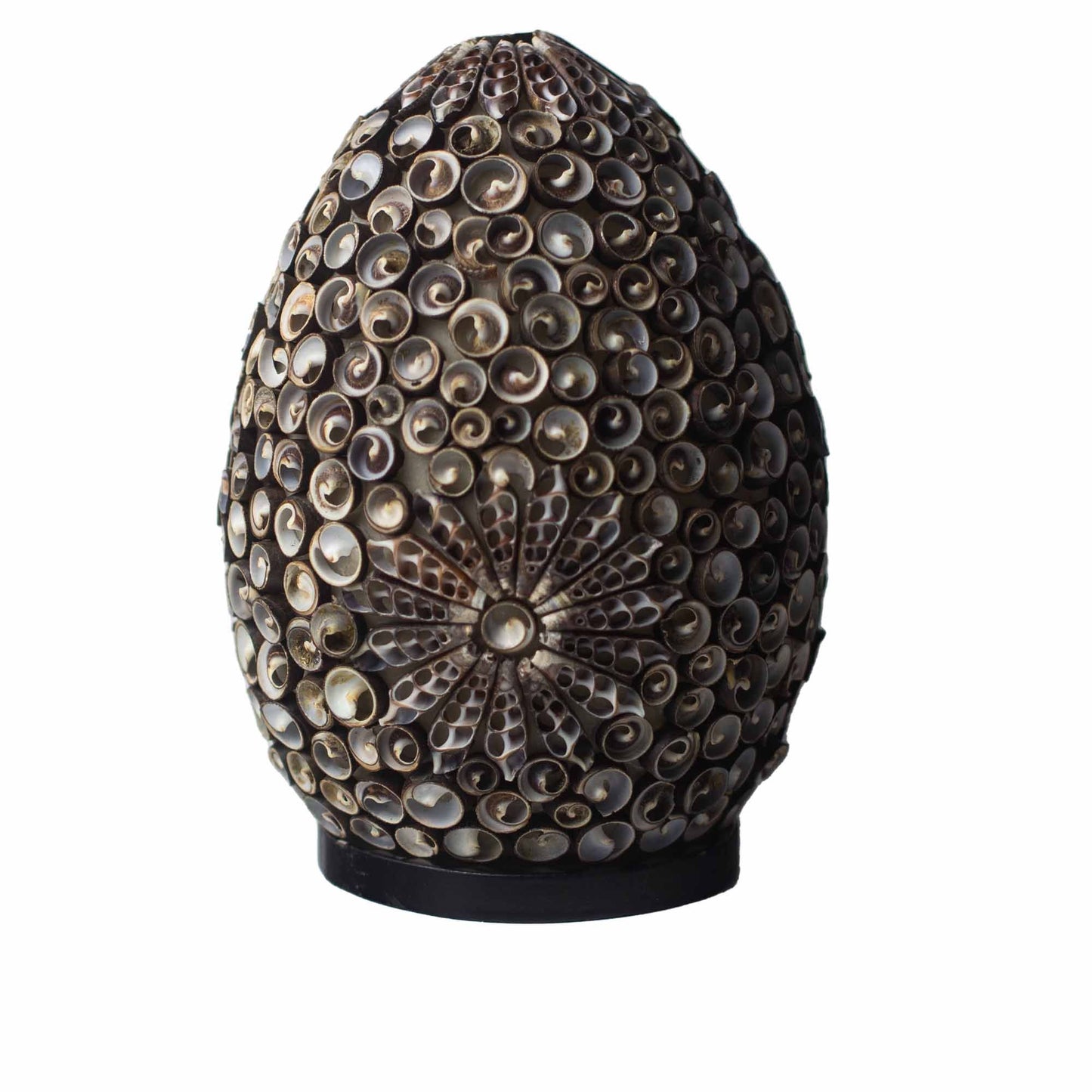 Boho Sea Shell Lamp - Chocolate Twist Oval